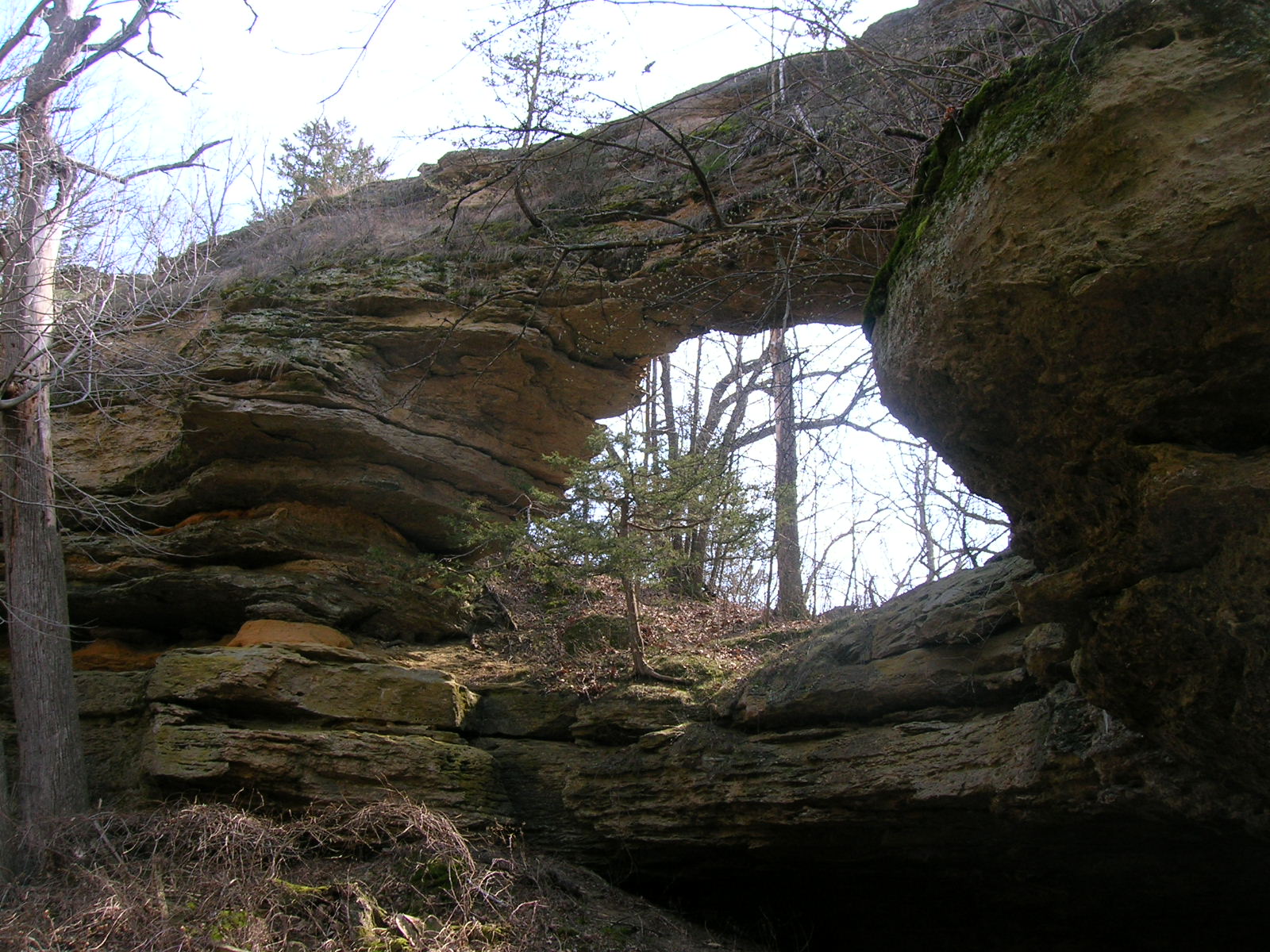Natural Bridge2_20091216032241